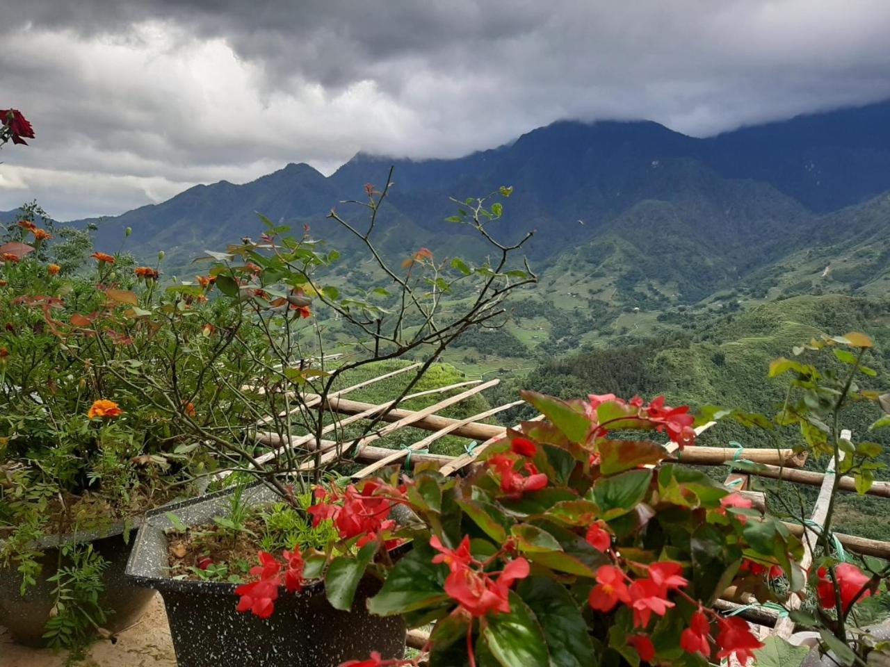 Valley View Coffee & Stay Sapa Exterior foto